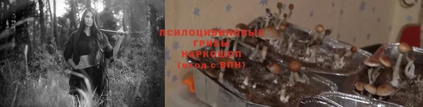ГАЛЛЮЦИНОГЕННЫЕ ГРИБЫ Алзамай