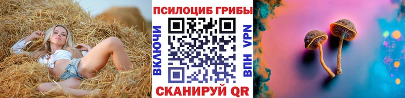 где найти Чистополь Галлюциногенные грибы мухоморы