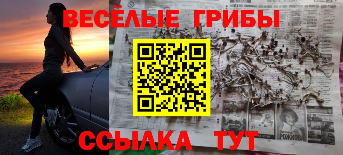 Псилоцибиновые грибы Magic Shrooms Чистополь
